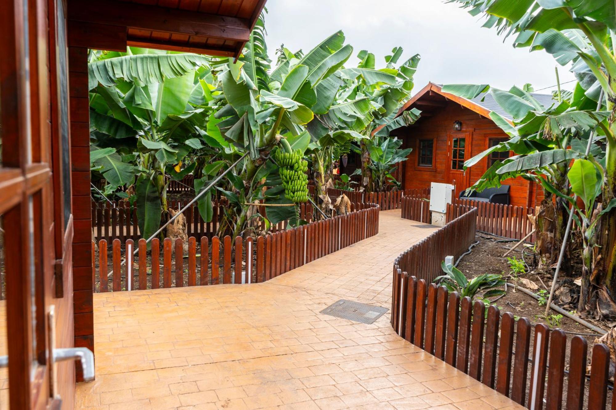 Cabanas Finca Las Vegas Arucas Dış mekan fotoğraf